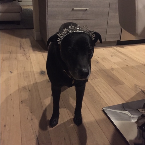 Meet your Posher, Lisa - Picture 1 of 1